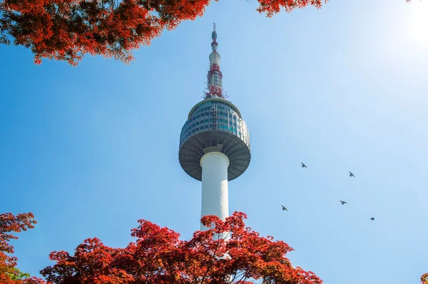 Namsan Mountain Güney Kore'de Seul Kulesi ve kırmızı sonbahar akçaağaç yaprakları. — Stok fotoğraf