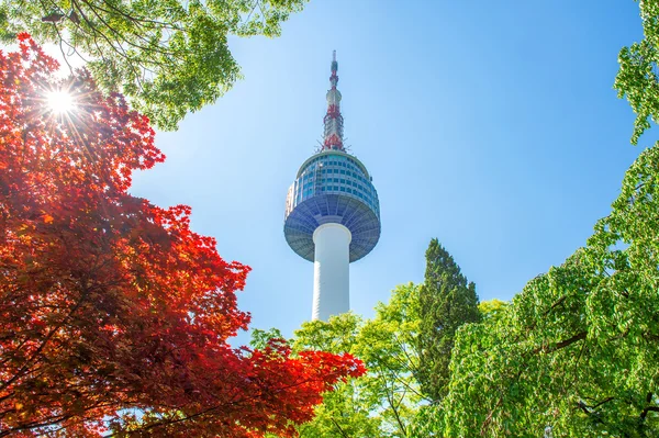 Namsan Mountain Güney Kore'de Seul Kulesi ve kırmızı sonbahar akçaağaç yaprakları. — Stok fotoğraf