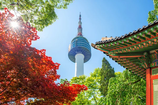 Namsan Mountain Güney Kore'de Seul Kulesi ile gyeongbokgung çatı ve kırmızı sonbahar akçaağaç yaprakları.