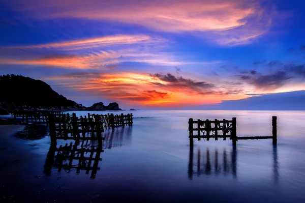 Seascape med raden av trä vid solnedgången — Stockfoto