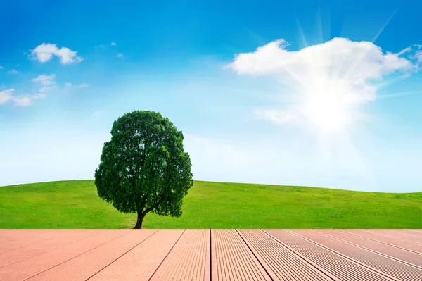 Één boom, boom in veld en blauwe lucht met houten vloer. — Stockfoto