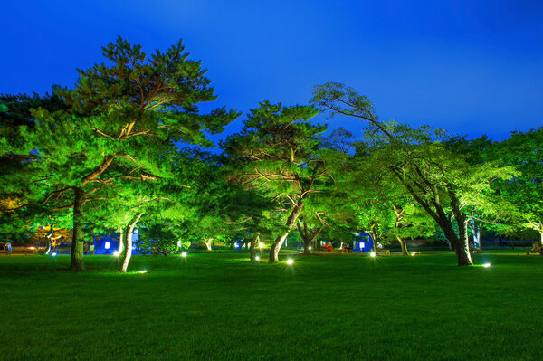 Park in the night at gyeongbokgung, South Korea.
