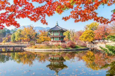 Sonbahar Gyeongbukgung ve akçaağaç ağaç içinde korea.