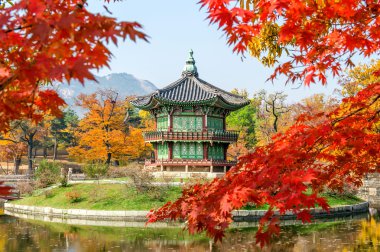 Sonbahar Gyeongbukgung ve akçaağaç ağaç içinde korea.