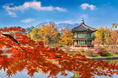 Akça ağaç Güz, Kore Gyeongbokgung Sarayı ve yumuşak odak noktası