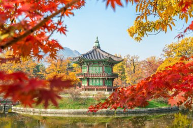 Sonbahar Gyeongbukgung Sarayı, Kore.