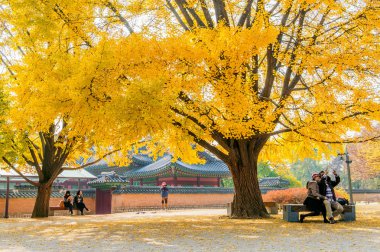 Gyeongbokgung, Kore - 4 Kasım: turist çekim güzel sahne etrafında Gyeongbokgung Seoul, Güney Kore.