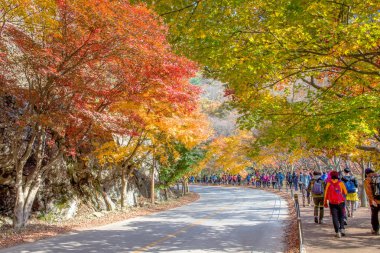 Naejangsan, Kore - 30 Kasım: turist çekim güzel sahne etrafında Naejangsan, Güney Kore.