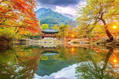 Sonbahar, Naejangsan Park Kore'de tapınakta Baekyangsa.