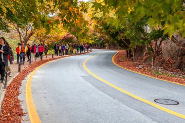 Naejangsan, Kore - 1 Kasım: turist çekim güzel sahne Naejangsan park çevresinde, Güney Kore.