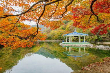 Naejangsan, Kore - 1 Kasım: turist çekim güzel sahne Naejangsan park çevresinde, Güney Kore.
