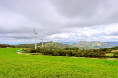 Wind turbines generating electricity.Eco Green Campus in South Korea. clipart