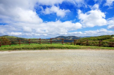 Yeşil çayır elektrik üreten Rüzgar türbinleri.