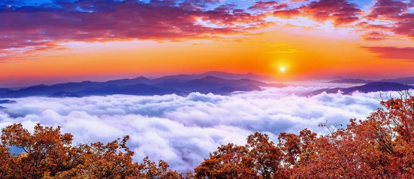 Les montagnes Seoraksan sont couvertes par le brouillard matinal et le lever du soleil à Séoul, en Corée . — Photo