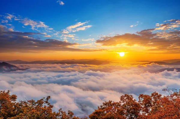 Seoraksan mountains is covered by morning fog and sunrise in Seoul,Korea. — Stock Photo, Image