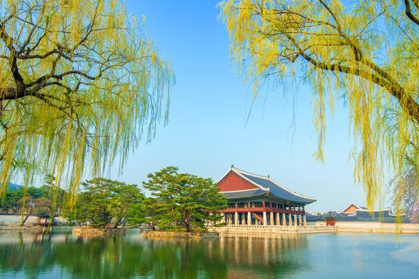 Gyeongbokgung Palace na primavera, Coréia . — Fotografia de Stock