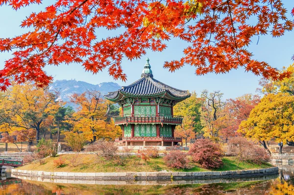 Gyeongbukgung y árbol de arce en otoño en Corea . — Foto de Stock