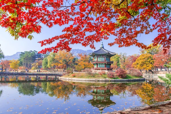 Gyeongbukgung e acero in autunno in Corea . — Foto Stock