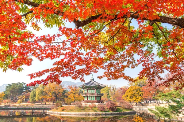 Outono em Gyeongbukgung Palace, Coréia . — Fotografia de Stock