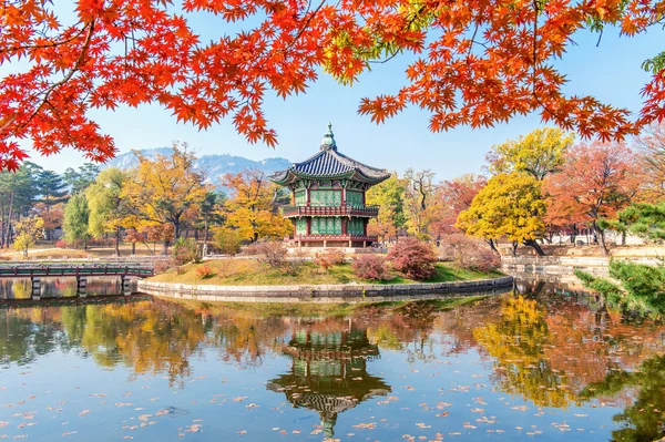 Gyeongbukgung y árbol de arce en otoño en Corea . — Foto de Stock