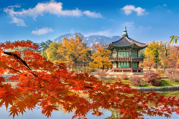 Akça ağaç Güz, Kore Gyeongbokgung Sarayı ve yumuşak odak noktası — Stok fotoğraf