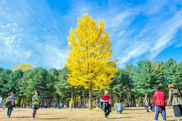 娜美岛，韩国-Oct 25: 游客拍摄的美丽照片 — 图库照片
