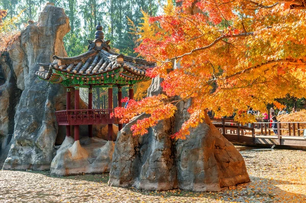 Árvore de outono na ilha de Nami, Coréia . — Fotografia de Stock