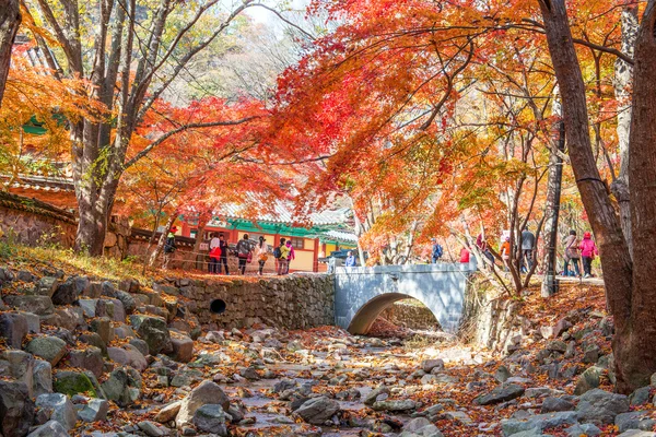NAEJANGSAN, COREA - 30 NOVEMBRE: I turisti fotografano il bellissimo paesaggio intorno a Naejangsan, Corea del Sud . — Foto Stock