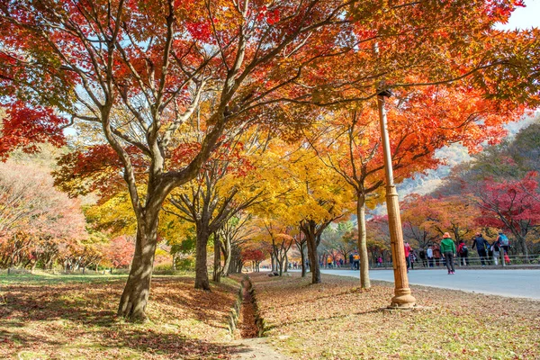 NAEJANGSAN, KOREA - 30 НОЯБРЯ: Туристы фотографируют красивые пейзажи вокруг Неджангана, Южная Корея . — стоковое фото