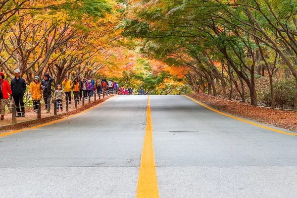 Naejangsan, Korea - 1. listopadu: Turisté fotí krásné scenérie kolem Naejangsan park, Jižní Korea. — Stock fotografie