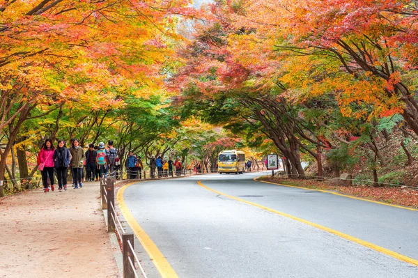 NAEJANGSAN, CORÉE - 1 NOVEMBRE : Touristes prenant des photos des magnifiques paysages autour du parc Naejangsan, Corée du Sud . — Photo