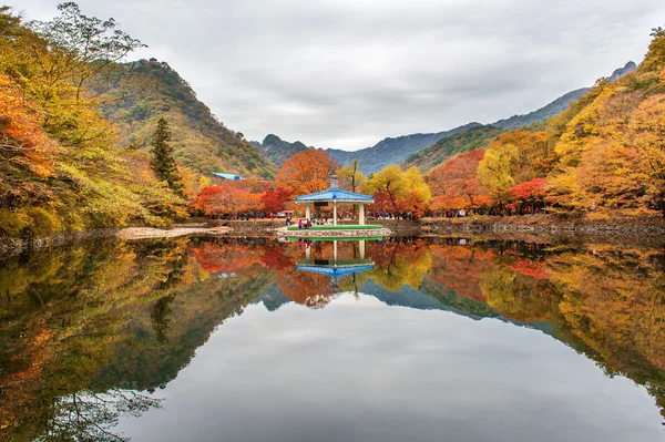 NAEJANGSAN, KOREA - NOVEMBER 1: Tourrists taking photos of the beautiful scenery around Naejangsan park, South Korea . — стоковое фото