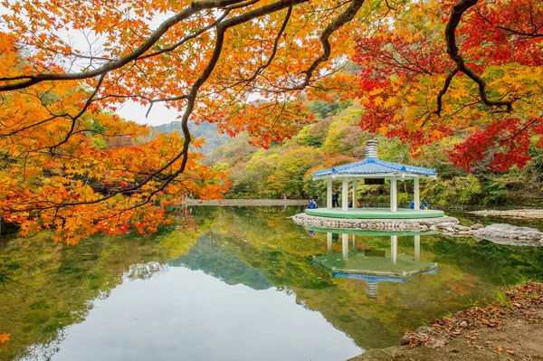 Naejangsan, Kore - 1 Kasım: turist çekim güzel sahne Naejangsan park çevresinde, Güney Kore. — Stok fotoğraf