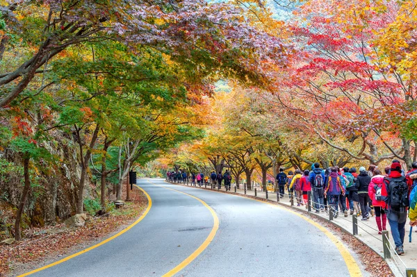 NAEJANGSAN, COREA - 1 DE NOVIEMBRE: Turistas tomando fotos del hermoso paisaje alrededor del parque Naejangsan, Corea del Sur . —  Fotos de Stock