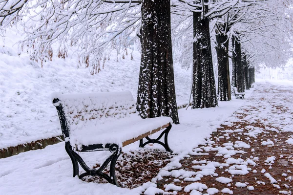 Pohled na lavice a stromy s padající sníh. — Stock fotografie