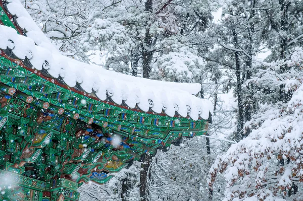 Пейзаж зимой с крышей Кёнбокгуна и падающим снегом . — стоковое фото