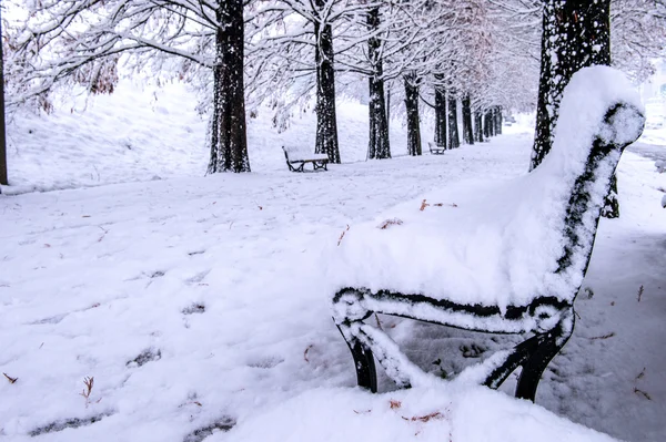 Вид на скамейку и деревья с падающим снегом . — стоковое фото