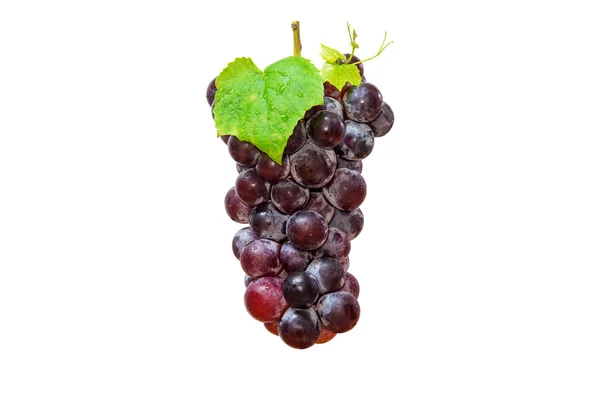 Winogrona izolowane na białym tle. — Zdjęcie stockowe