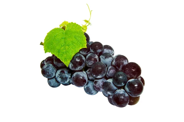 Grapes isolated on white background. — Stock Photo, Image