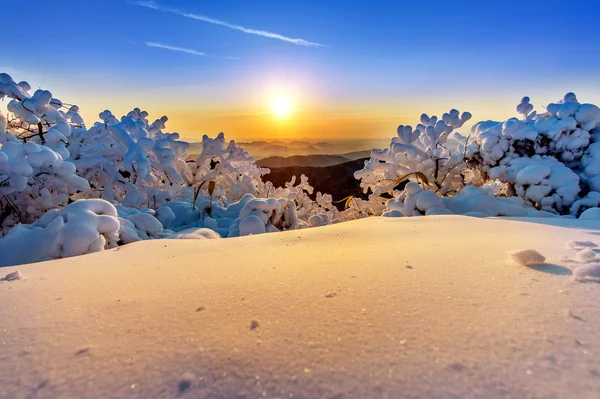 Nascer do sol em Deogyusan montanhas cobertas de neve no inverno, Coréia do Sul . — Fotografia de Stock