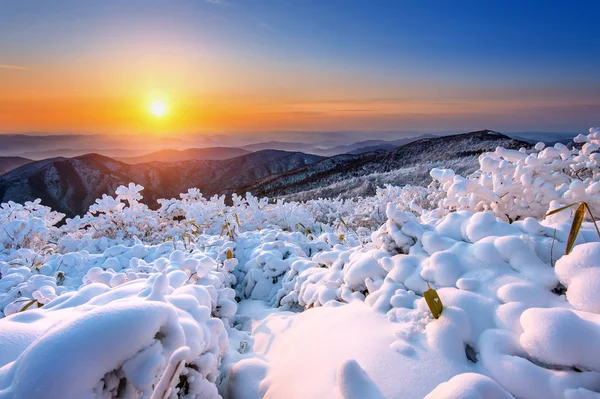 Nascer do sol em Deogyusan montanhas cobertas de neve no inverno, Coréia do Sul . — Fotografia de Stock