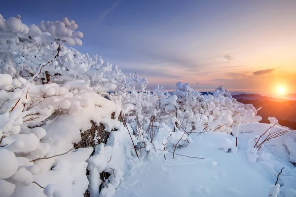 Sunrise a Deogyusan hegyek hóval télen, Dél-Korea. — Stock Fotó