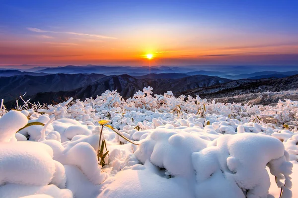 Hermoso amanecer en las montañas Deogyusan cubiertas de nieve en invierno, Corea del Sur . — Foto de Stock