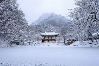 Baekyangsa Tapınağı ve yağan kar, kar, ünlü dağ Korea.Winter peyzaj ile kışın Naejangsan dağ.
