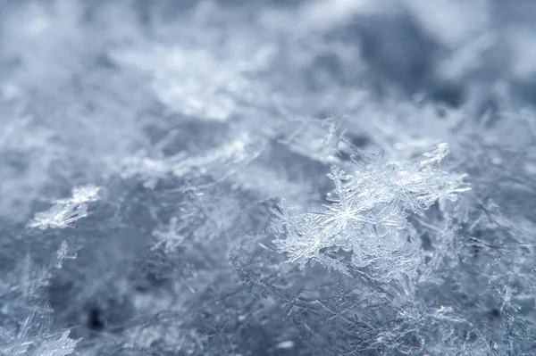 Macro of a snowflake in natural surroundings. — Stock Photo, Image
