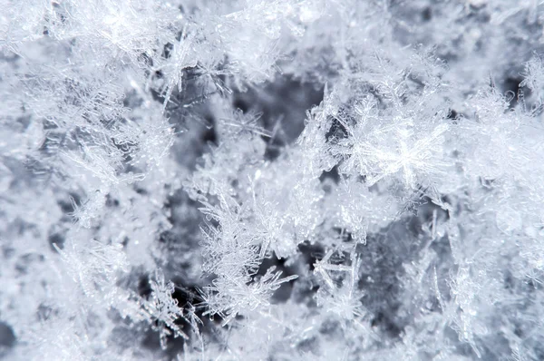 Macro of a snowflake in natural surroundings. — Stock Photo, Image