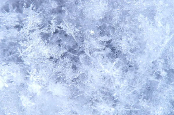 Macro of a snowflake in natural surroundings. — Stock Photo, Image