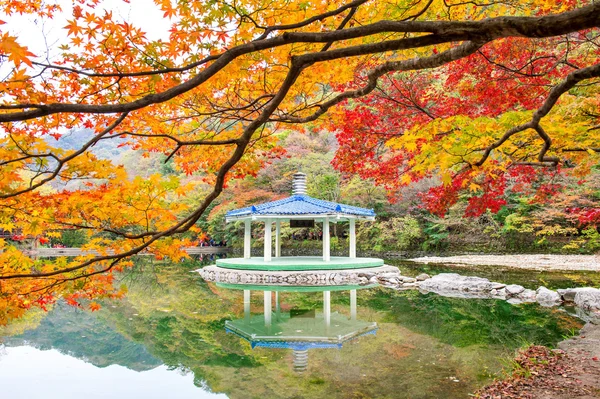 秋、韓国でネジャンサン国立公園. — ストック写真