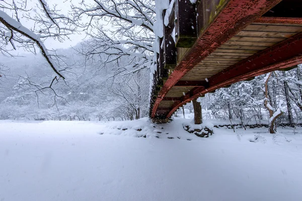 Sníh padá v park a pěší most v zimě, Zimní krajina. — Stock fotografie