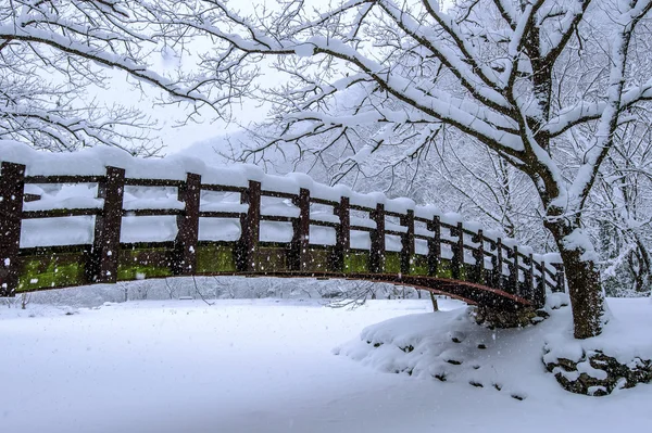 Sníh padá v park a pěší most v zimě, Zimní krajina. — Stock fotografie